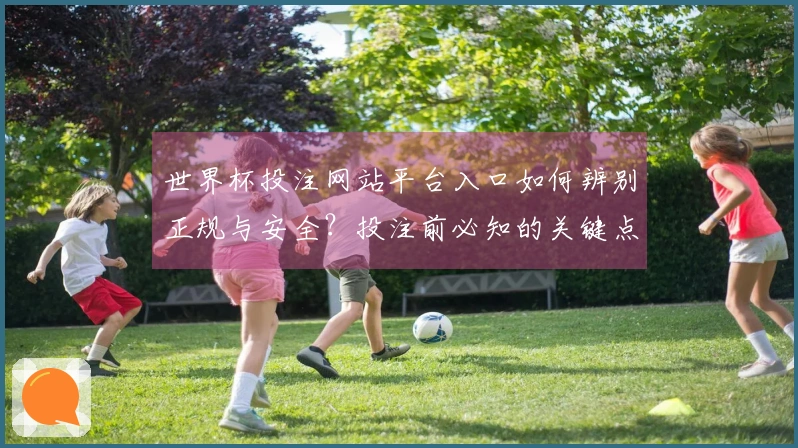 世界杯投注网站平台入口如何辨别正规与安全?投注前必知的关键点
